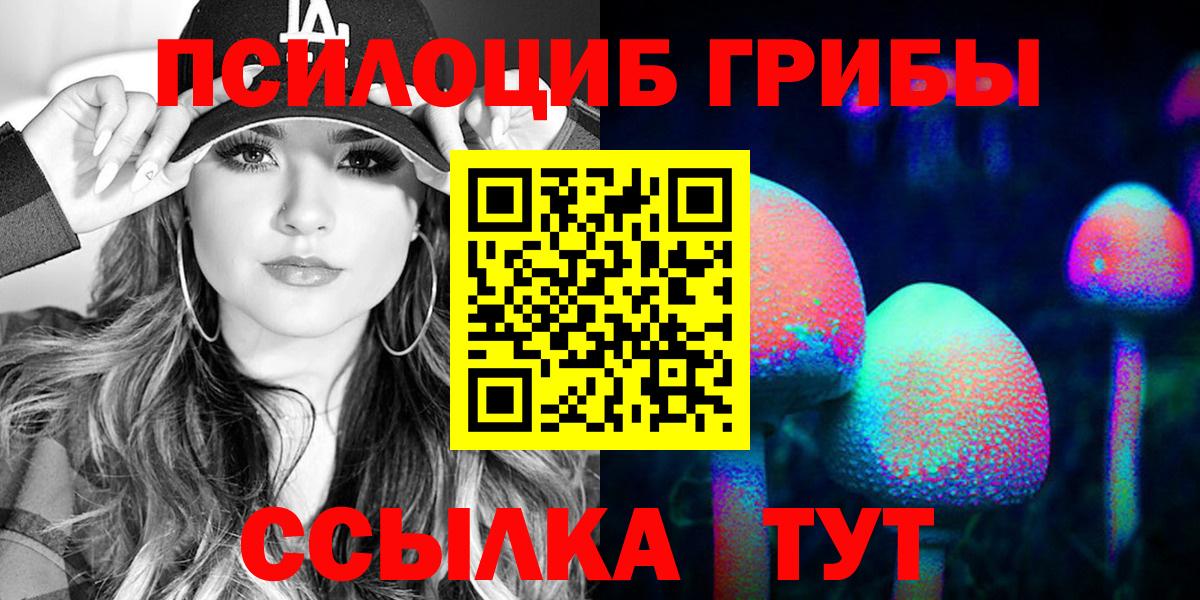 Галлюциногенные грибы Psilocybine cubensis Урус-Мартан