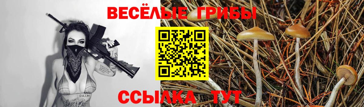 Псилоцибиновые грибы Psilocybine cubensis  Псилоцибиновые грибы Cubensis  Урус-Мартан  Вход с VPN 
